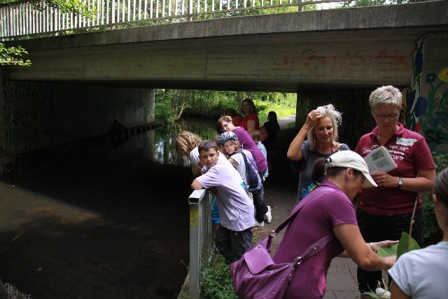  Bildname: IMG_0133.JPG 
 Breite: 640 Pixel 
 Höhe: 427 Pixel 
 Grösse: 137 kB 