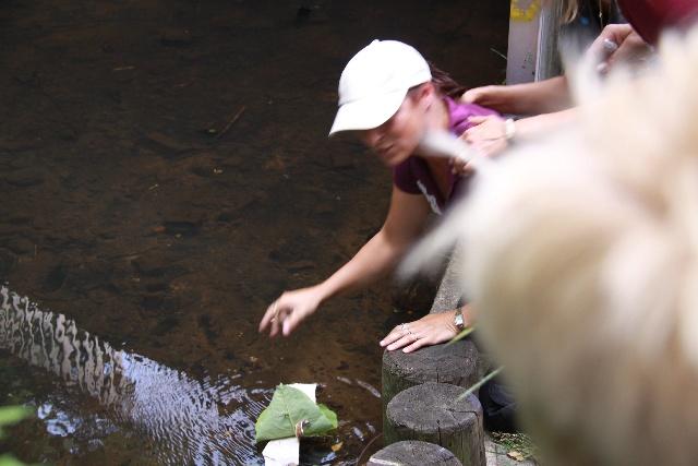  Bildname: IMG_0135.JPG 
 Breite: 640 Pixel 
 Höhe: 427 Pixel 
 Grösse: 109 kB 