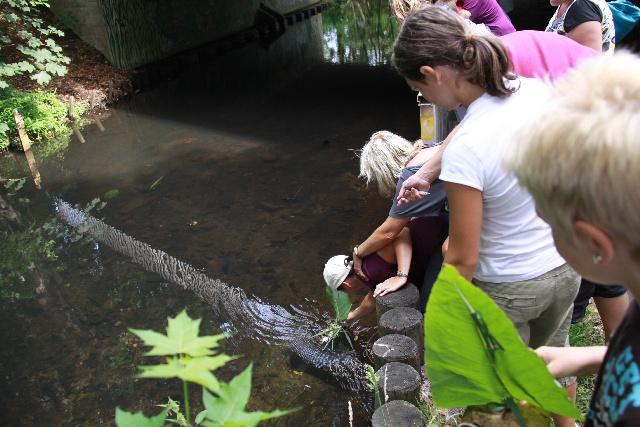  Bildname: IMG_0137.JPG 
 Breite: 640 Pixel 
 Höhe: 427 Pixel 
 Grösse: 149 kB 