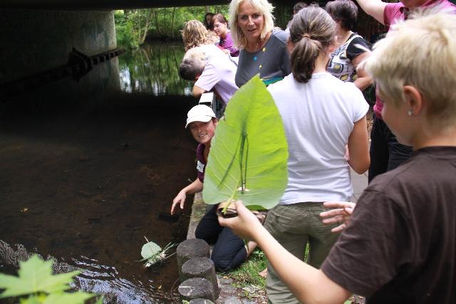  Bildname: IMG_0138.JPG 
 Breite: 640 Pixel 
 Höhe: 427 Pixel 
 Grösse: 134 kB 