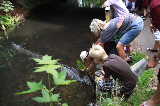  Bildname: IMG_0139.JPG 
 Breite: 640 Pixel 
 Höhe: 427 Pixel 
 Grösse: 161 kB 