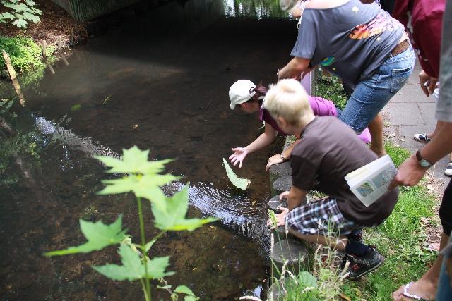  Bildname: IMG_0140.JPG 
 Breite: 640 Pixel 
 Höhe: 427 Pixel 
 Grösse: 169 kB 