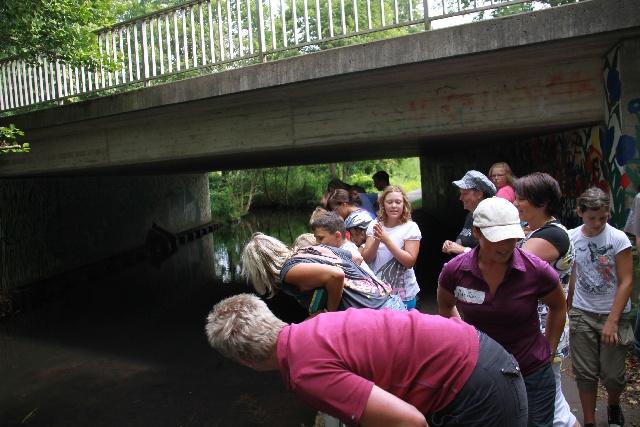  Bildname: IMG_0142.JPG 
 Breite: 640 Pixel 
 Höhe: 427 Pixel 
 Grösse: 147 kB 